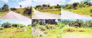 FOR SALE: Lot / Land / Farm Batangas > Lipa City