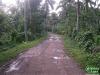 FOR SALE: Lot / Land / Farm Batangas