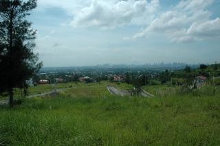 FOR SALE: Lot / Land / Farm Rizal 5