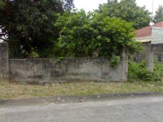 FOR SALE: Lot / Land / Farm Manila Metropolitan Area > Marikina