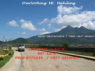 FOR SALE: Lot / Land / Farm Batangas > Other areas 4