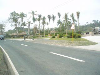 FOR SALE: Lot / Land / Farm Laguna