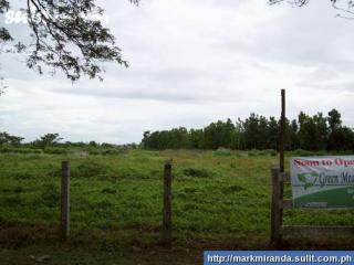 green Meadows along the highway