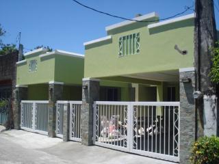 FOR SALE: Apartment / Condo / Townhouse Manila Metropolitan Area > Las Pinas 1