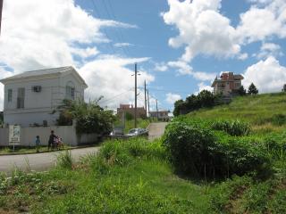 FOR SALE: Lot / Land / Farm Rizal 3