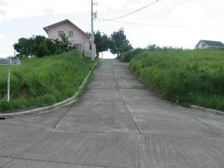 FOR SALE: Lot / Land / Farm Rizal 5