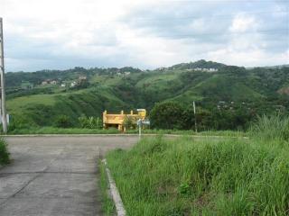 FOR SALE: Lot / Land / Farm Rizal 8