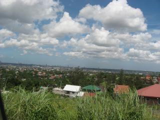 FOR SALE: Lot / Land / Farm Rizal 9