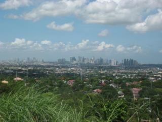 FOR SALE: Lot / Land / Farm Rizal 10