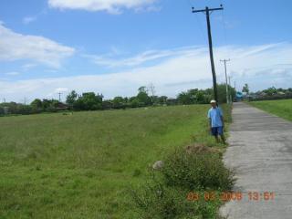 Farm beside Baranggay Road