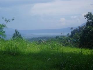 FOR SALE: Lot / Land / Farm Batangas 4