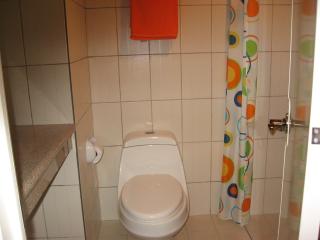 FOR SALE: Apartment / Condo / Townhouse Abra 3