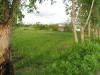 lot is beside the bungalow seen from afar with a nipa hut.