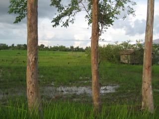 the lot  pictured from the main road