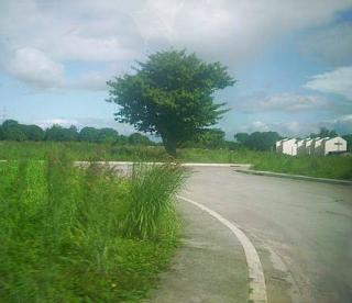 FOR SALE: Lot / Land / Farm Bulacan 1