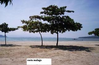 FOR SALE: Lot / Land / Farm Zambales 3