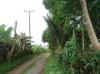 FOR SALE: Lot / Land / Farm Cavite 3