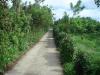 FOR SALE: Lot / Land / Farm Cavite > Silang