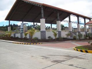 FOR SALE: Lot / Land / Farm Cavite 6