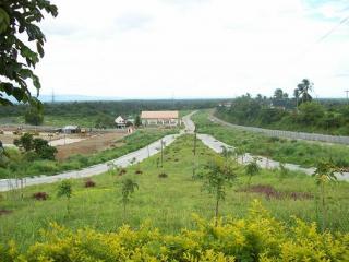 FOR SALE: Lot / Land / Farm Cavite 7