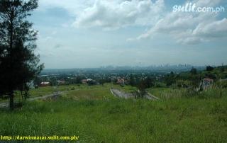 FOR SALE: Lot / Land / Farm Abra 4