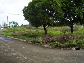 FOR SALE: Lot / Land / Farm Quezon