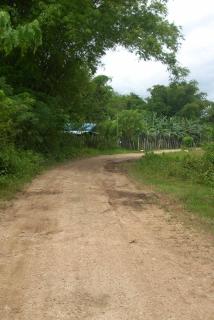 FOR SALE: Lot / Land / Farm Davao 5