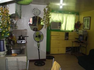 FOR SALE: Apartment / Condo / Townhouse Manila Metropolitan Area > Mandaluyong 1