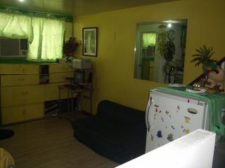 FOR SALE: Apartment / Condo / Townhouse Manila Metropolitan Area > Mandaluyong 2