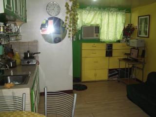 FOR SALE: Apartment / Condo / Townhouse Manila Metropolitan Area > Mandaluyong 3