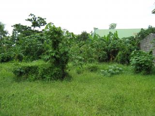 FOR SALE: Lot / Land / Farm Pangasinan > Dagupan City 1