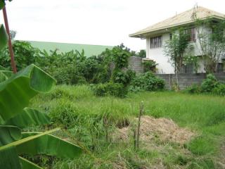 FOR SALE: Lot / Land / Farm Pangasinan > Dagupan City 2