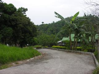 View from driveway of private access road and mountain forests 