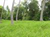 Gentle grades with palm trees for shade, building materials and sustinence