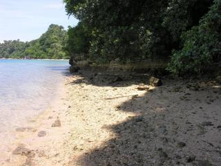 Beautiful private beach