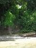 Perfect spot for a private jetty/pier and path to interior of the property