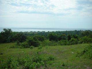 FOR SALE: Lot / Land / Farm La Union > Other areas