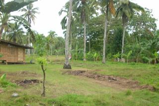 FOR SALE: Lot / Land / Farm Davao 2