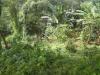 FOR SALE: Lot / Land / Farm Rizal > Antipolo 3