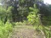 FOR SALE: Lot / Land / Farm Rizal > Antipolo 5