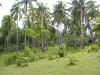 FOR SALE: Lot / Land / Farm Davao 1