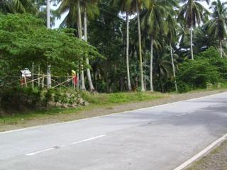 FOR SALE: Lot / Land / Farm Davao 2