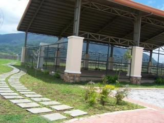 basketball court