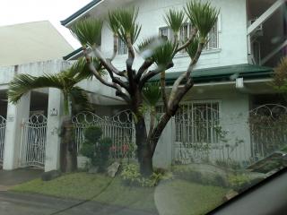 FOR SALE: House Manila Metropolitan Area > Paranaque