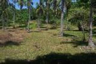 FOR SALE: Lot / Land / Farm Davao del Sur > Samal 1