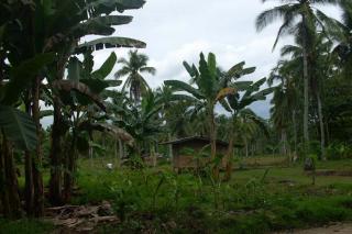 FOR SALE: Lot / Land / Farm Davao del Sur > Samal 1