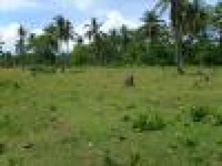 FOR SALE: Lot / Land / Farm Davao del Sur > Samal