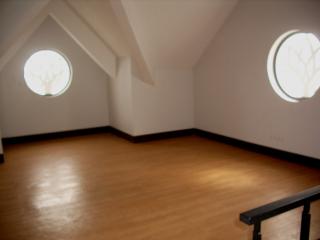 Spacious Attic