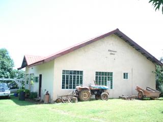 Mini-Farm Tractor