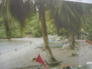 FOR SALE: Beach / Resort Mindoro Oriental 2